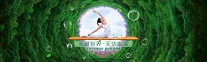公司介绍