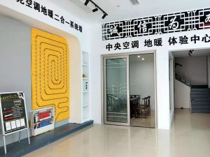 公司介绍