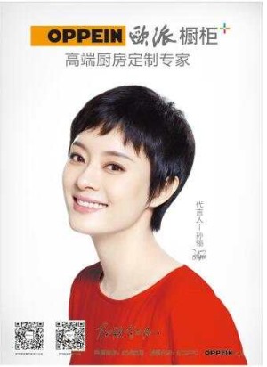 公司介绍
